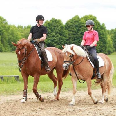 Riding Lessons and Training